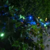 Multi Coloured Battery Fairy Lights 100 - 2Pk 2 Multi Coloured Battery Fairy Lights 100 - 2Pk -Solar Lights Store multi coloured battery fai2