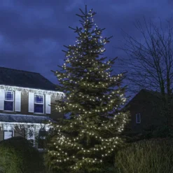 Solar Berry Fairy Lights 16 Solar Berry Fairy Lights -Solar Lights Store solar berry fairy lights white