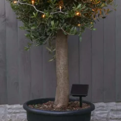 Solar Outdoor Fairy Lights 50 Warm White