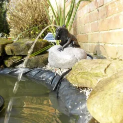 Solar Frog Pond Spitter On Rock 16 Solar Frog Pond Spitter On Rock -Solar Lights Store solar frog pond spitter on rock 6