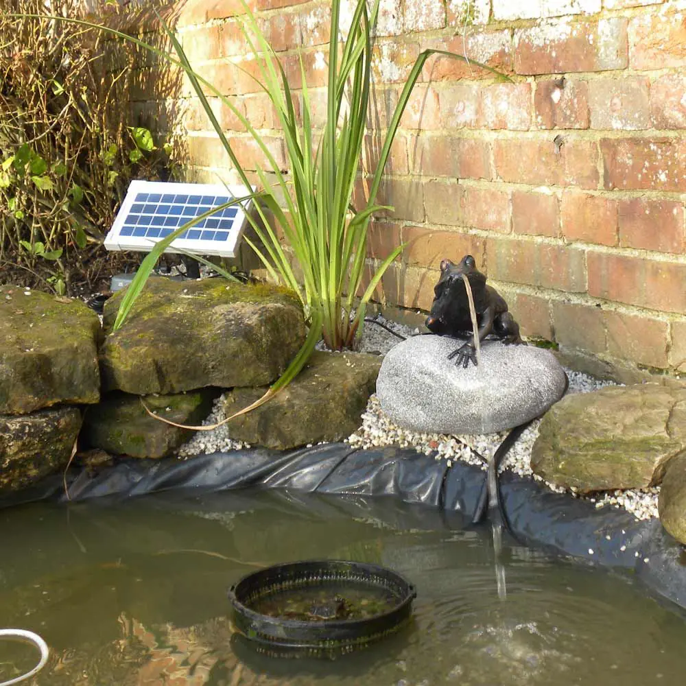 Solar Frog Pond Spitter On Rock 10 Solar Frog Pond Spitter On Rock - Image 8