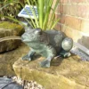 Solar Frog Spitter 1 Solar Frog Spitter -Solar Lights Store solar frog spitter