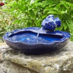 Solar Powered Fish Water Feature