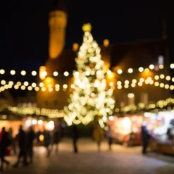 Solar String Lights 200 Warm White PowerBee Endurance ® 15 Solar String Lights 200 Warm White PowerBee Endurance ® -Solar Lights Store solar string lights 200 warm white