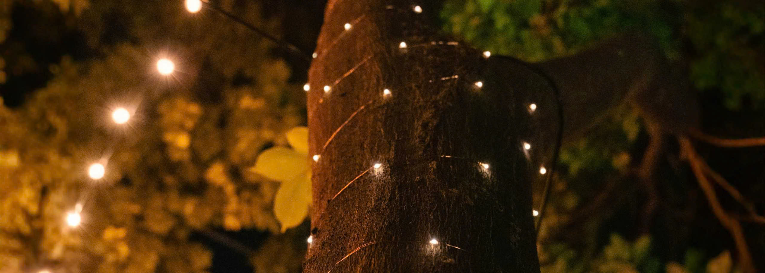 Solar Lights Store 2 Solar Lights Store -Solar Lights Store z6395859516543 44eaa4554d7548cd1a6eeb334c45b3e3